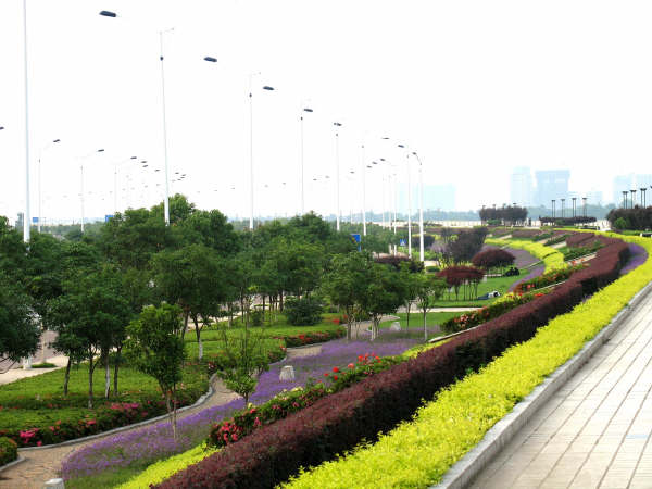 �Lɳ�t����·���Wվ